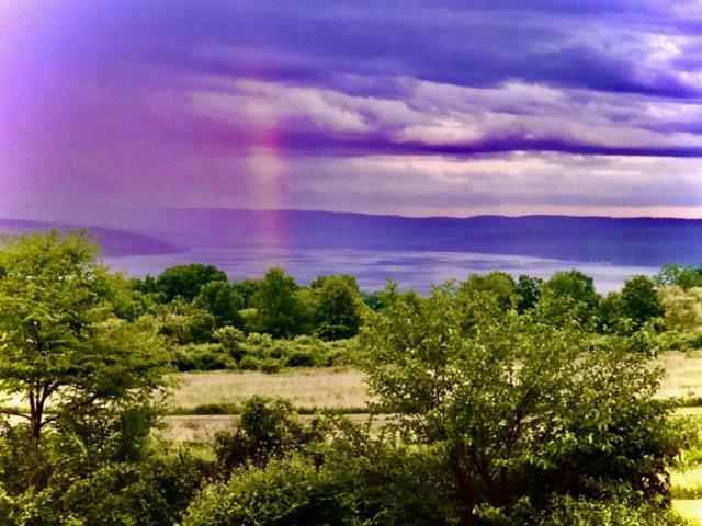 A Cayuga Lakefront Inn - Hotel Alt, Ithaca New York מראה חיצוני תמונה
