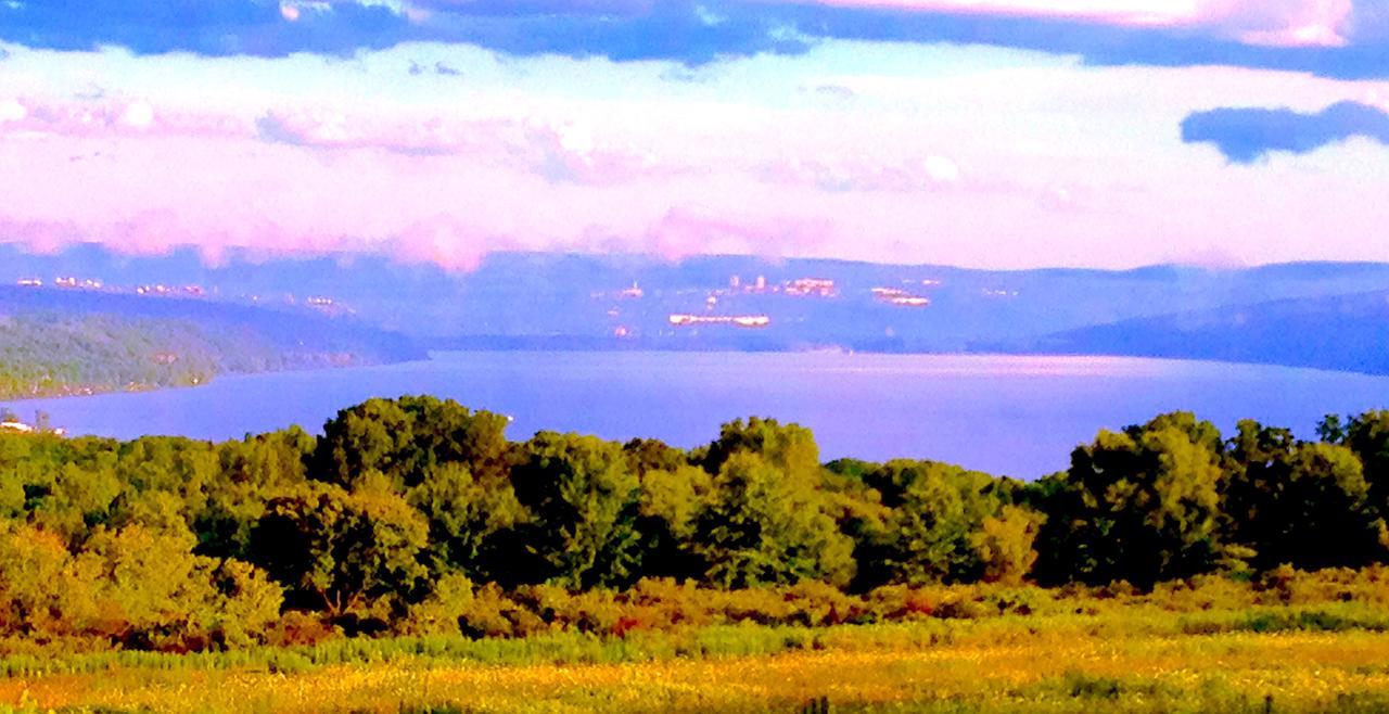 A Cayuga Lakefront Inn - Hotel Alt, Ithaca New York מראה חיצוני תמונה